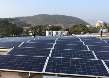 Decoding the Solar SME Profit Surge Outrunning the Industry Heavyweights