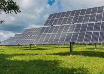 Clean Max Enviro Energy IPO Listing Date, GMP, and Allotment Status