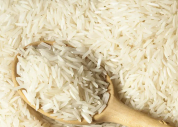 5,000 Tonnes of Indian Basmati Headed to US After Strategic Tariff Reductions