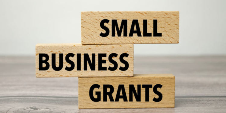 New Government Funding to Help Small and Micro Importers