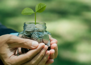 Top Tax-Saving Schemes for Conservative Investors: PPF, SCSS, and More