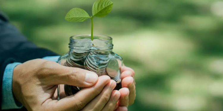 Top Tax-Saving Schemes for Conservative Investors: PPF, SCSS, and More