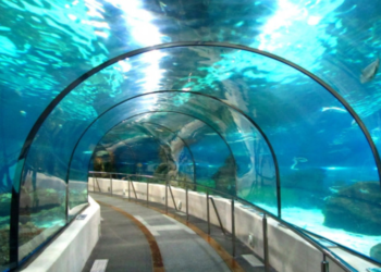 India’s First Underwater Road-Rail Tunnel Approved Under Brahmaputra River